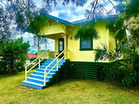 Photo of 96-3087 Pakalana St, Pahala, HI 96777 (MLS # 730545)
