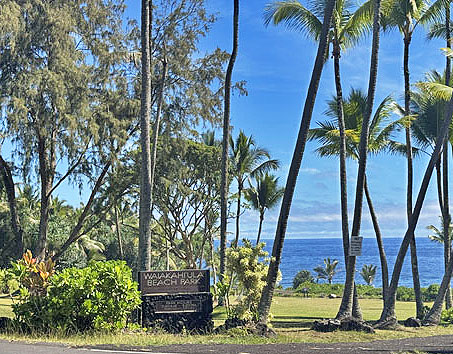 Waiakahi'ula Beach park is just down the road (1/2 mile) from 15-235 S Puni Makai Loop... Possible Owner Carry Terms!