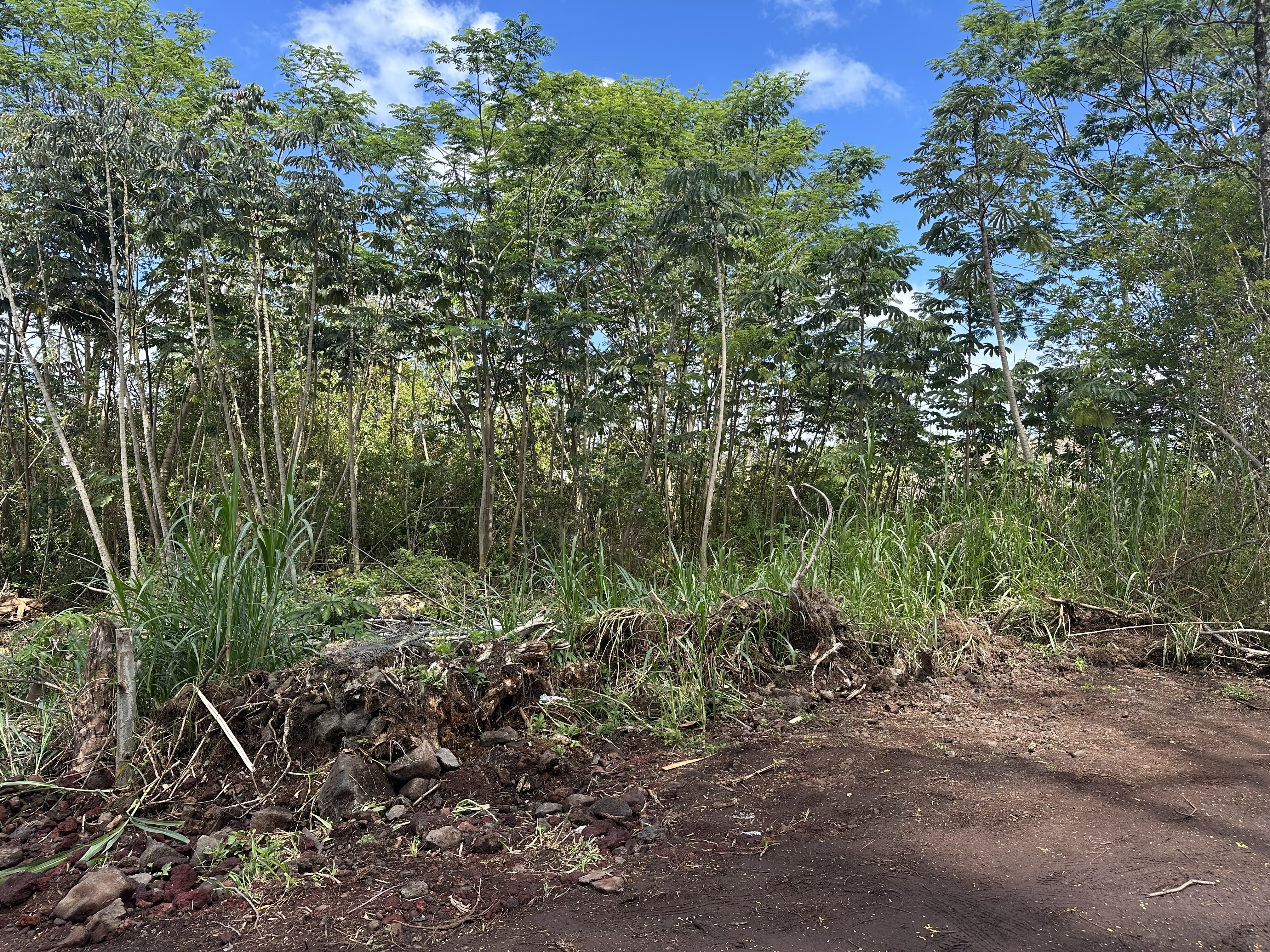 Affordable lot in the Tiki Gardens Subdivision!