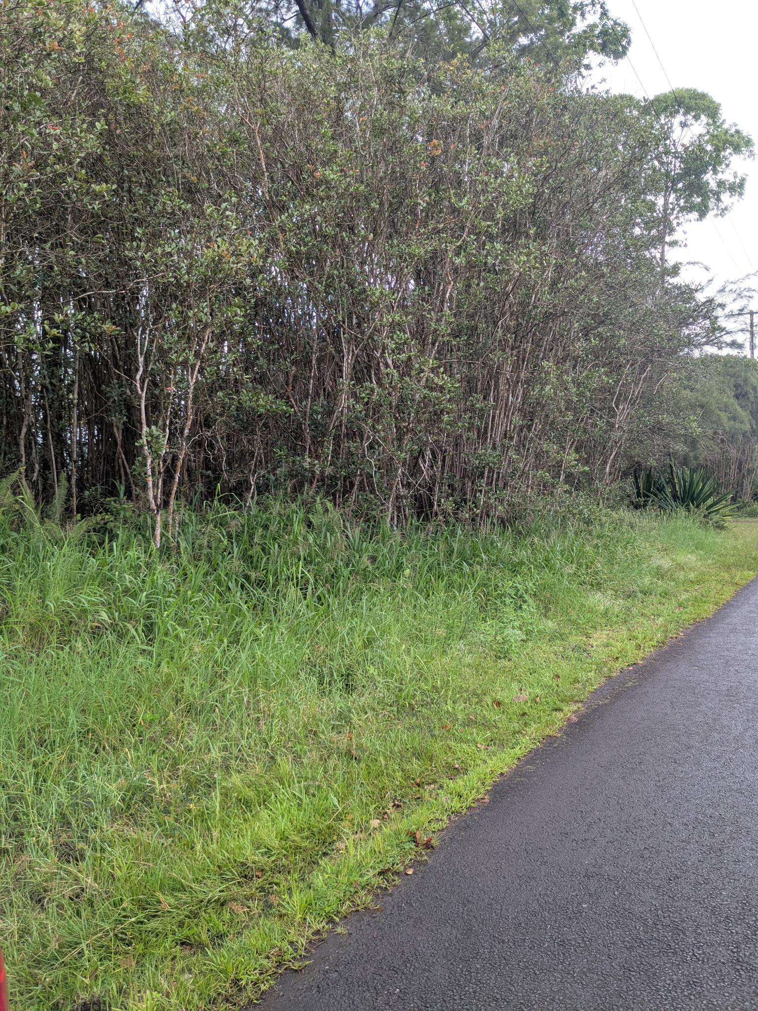Photo 1 of 5 — 40TH AVE, Kurtistown, HI 96760
