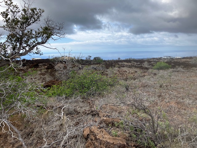 Photo 1 of 10 — HIBISCUS DR, Ocean View, HI 96737