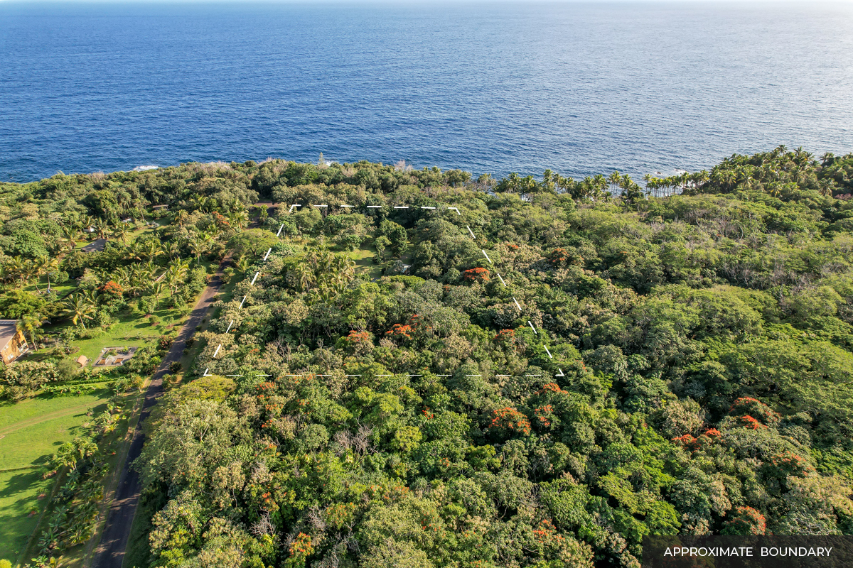 Partially cleared, with uncleared acreage for privacy