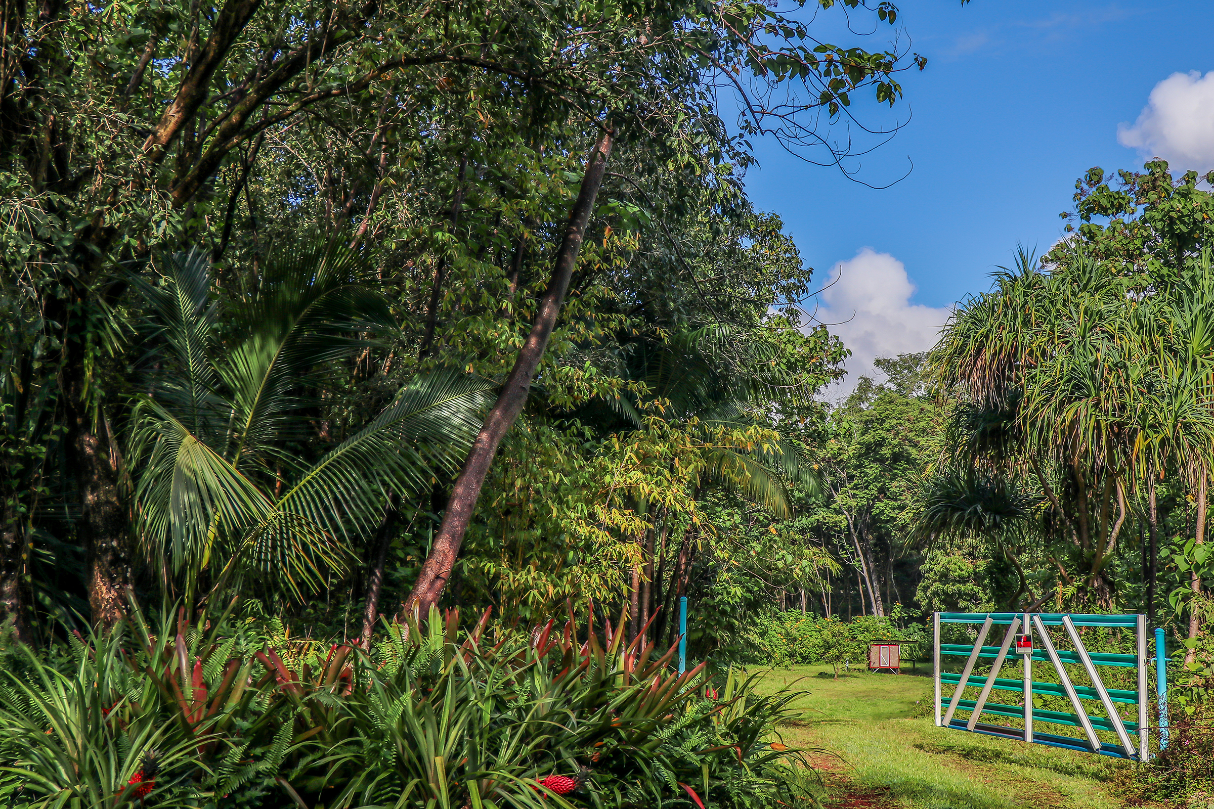 The property welcomes a simpler way of life