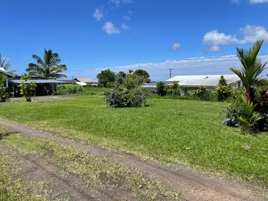 368 W KAWAILANI ST, HILO, HI 96720 - Image df0444188d19b2ba3bbc297014cbdfd4/2686976812