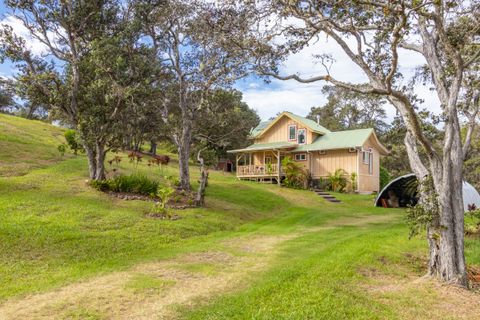 Photo of 43-752 Antone de Luz Rd, Paauilo, HI 96776 (MLS # 725525)