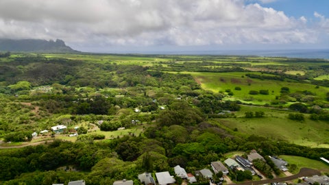 Tiny photo for 5306 Kahala St, Kapaa, HI 96746 (MLS # 729946)