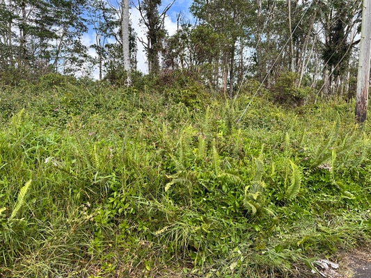 OOAA RD, KURTISTOWN, HI 96760 - Image e058b5f2a9fdcc0054ea690bdb9a63aa/1007436198