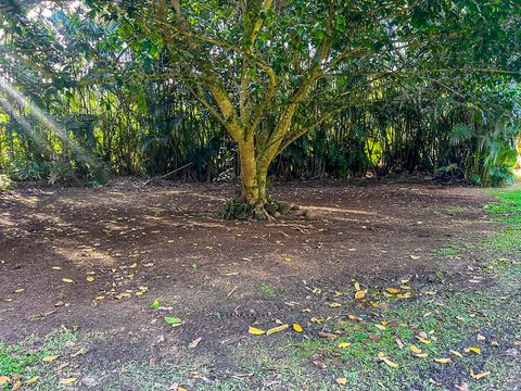 Tiny photo for 5-6671 Kuhio Hwy, Hanalei, HI 96722 (MLS # 729736)