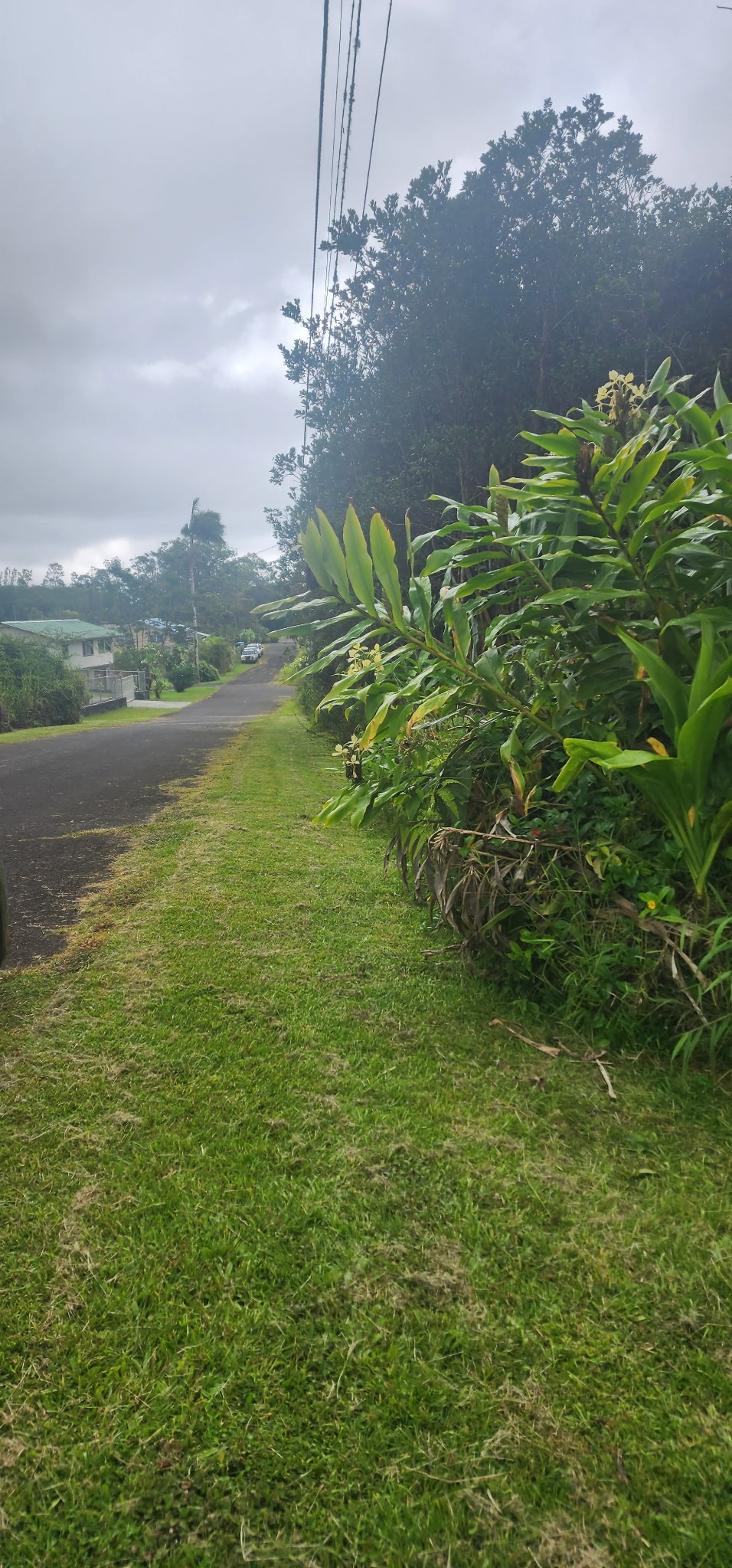 HOHIU ST