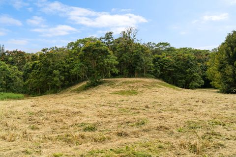 Tiny photo for Hauiki Rd, Kapaa, HI 96746 (MLS # 728794)