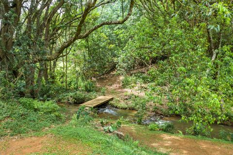 Tiny photo for Hauiki Rd, Kapaa, HI 96746 (MLS # 728794)