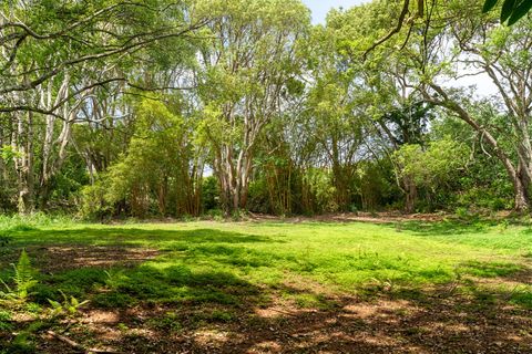 Tiny photo for Hauiki Rd, Kapaa, HI 96746 (MLS # 728794)