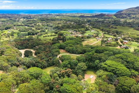 Tiny photo for Hauiki Rd, Kapaa, HI 96746 (MLS # 728794)