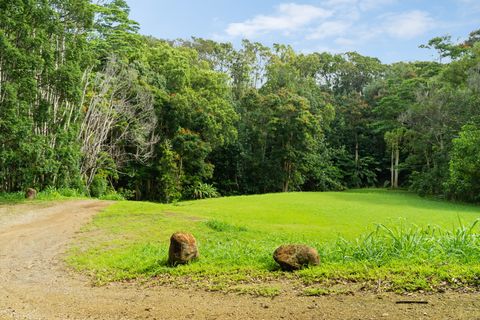 Tiny photo for Hauiki Rd, Kapaa, HI 96746 (MLS # 728794)
