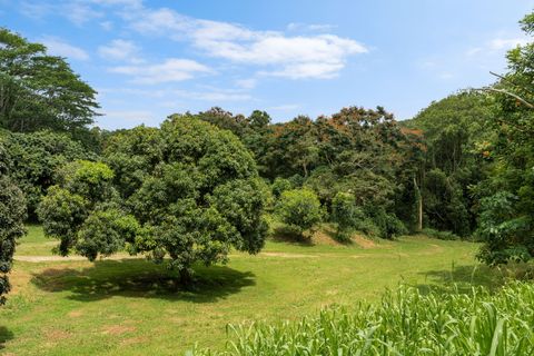 Tiny photo for Hauiki Rd, Kapaa, HI 96746 (MLS # 728794)