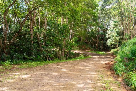 Tiny photo for Hauiki Rd, Kapaa, HI 96746 (MLS # 728794)