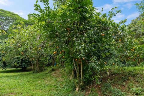 Tiny photo for Hauiki Rd, Kapaa, HI 96746 (MLS # 728794)