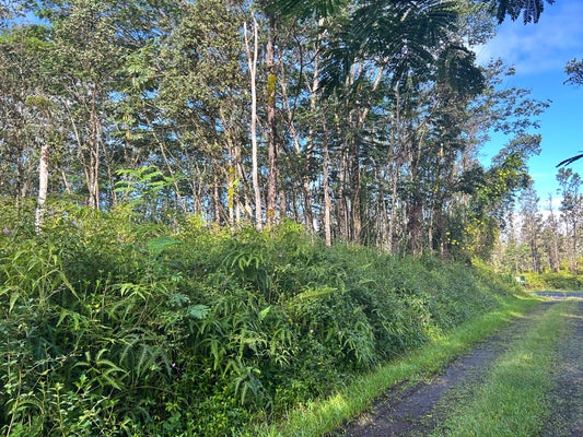 PAHOA RD, PAHOA, HI 96778 - Image e41a596ac5d18700af3ecd4ec959ae17/2601791237