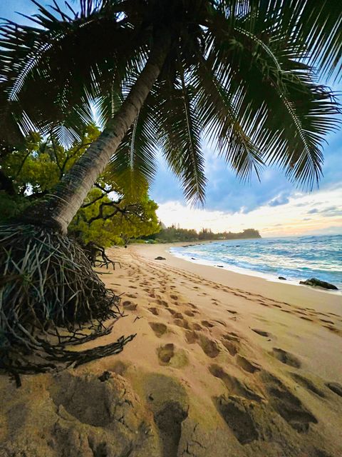 Tiny photo for 5-7330 Kuhio Hwy #B, Hanalei, HI 96714 (MLS # 719166)