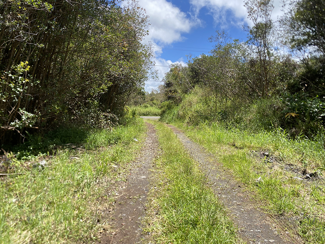 Road 10 looking towards Mauna Kea Dr.
