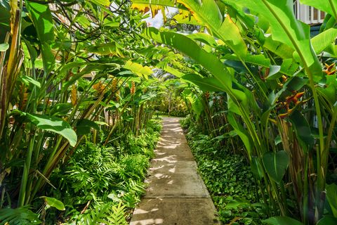 Tiny photo for 1831 Poipu Rd #720, Koloa, HI 96756 (MLS # 728577)