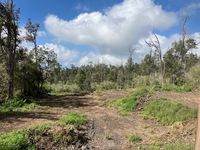 Re-cleared recently.