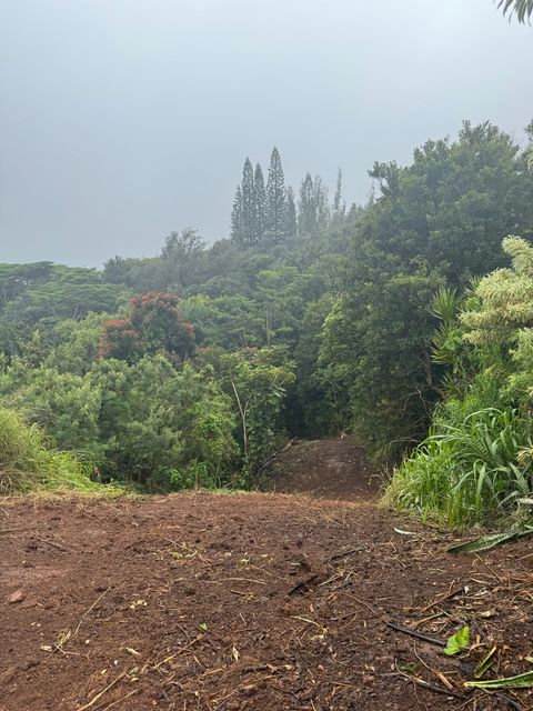 Tiny photo for Ikena Pl, Kalaheo, HI 96741 (MLS # 727095)
