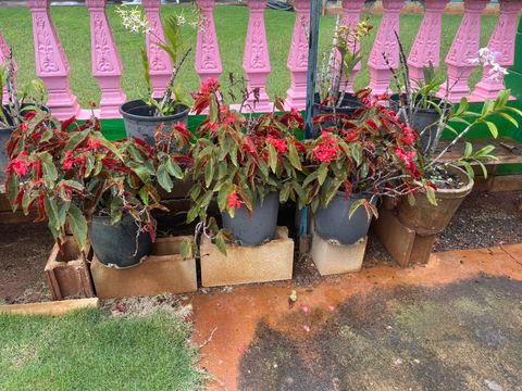 Tiny photo for 9442 Keahi Pl, Waimea, HI 96796 (MLS # 728842)