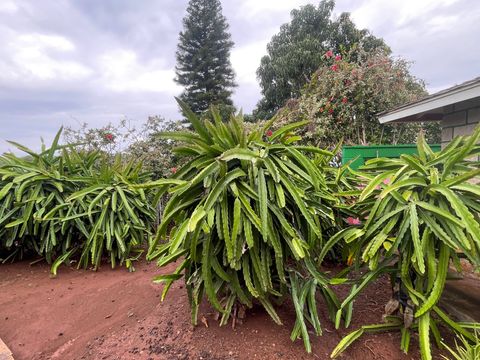 Tiny photo for 9442 Keahi Pl, Waimea, HI 96796 (MLS # 728842)