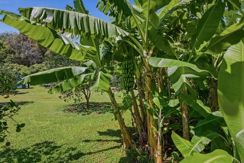 Tiny photo for 5085-A Aliomanu Rd, Anahola, HI 96703 (MLS # 729812)