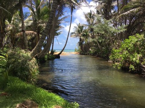 Tiny photo for 5085-A Aliomanu Rd, Anahola, HI 96703 (MLS # 729812)