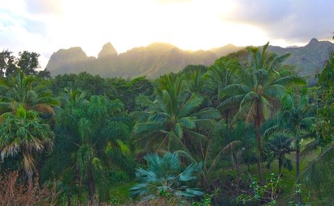 Tiny photo for 5085-A Aliomanu Rd, Anahola, HI 96703 (MLS # 729812)