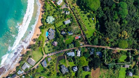 Photo of 3610 Moloaa Rd #2, Anahola, HI 96703 (MLS # 727007)