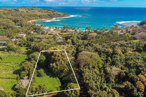 Tiny photo for 3610 Moloaa Rd #2, Anahola, HI 96703 (MLS # 727007)