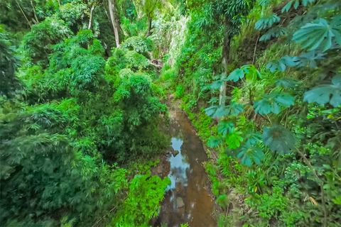 Tiny photo for 6565-C Koolau Rd, Anahola, HI 96746 (MLS # 729977)