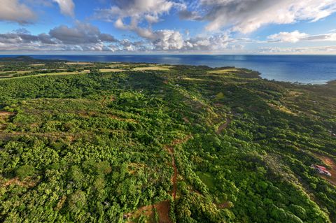 Tiny photo for 6565-C Koolau Rd, Anahola, HI 96746 (MLS # 729977)