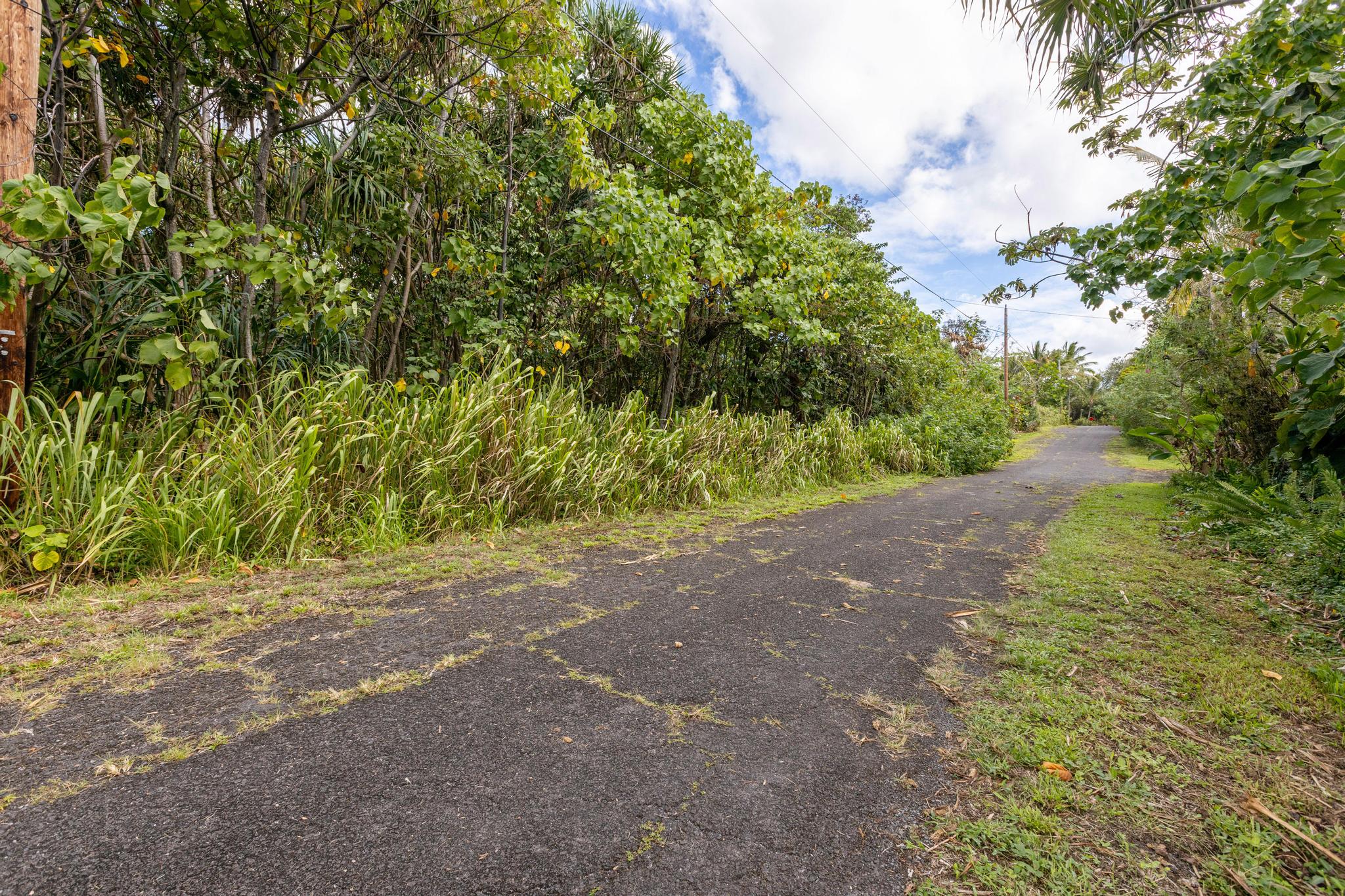 Photo 1 of 11 — KOAEKEA ST, Pahoa, HI 96778