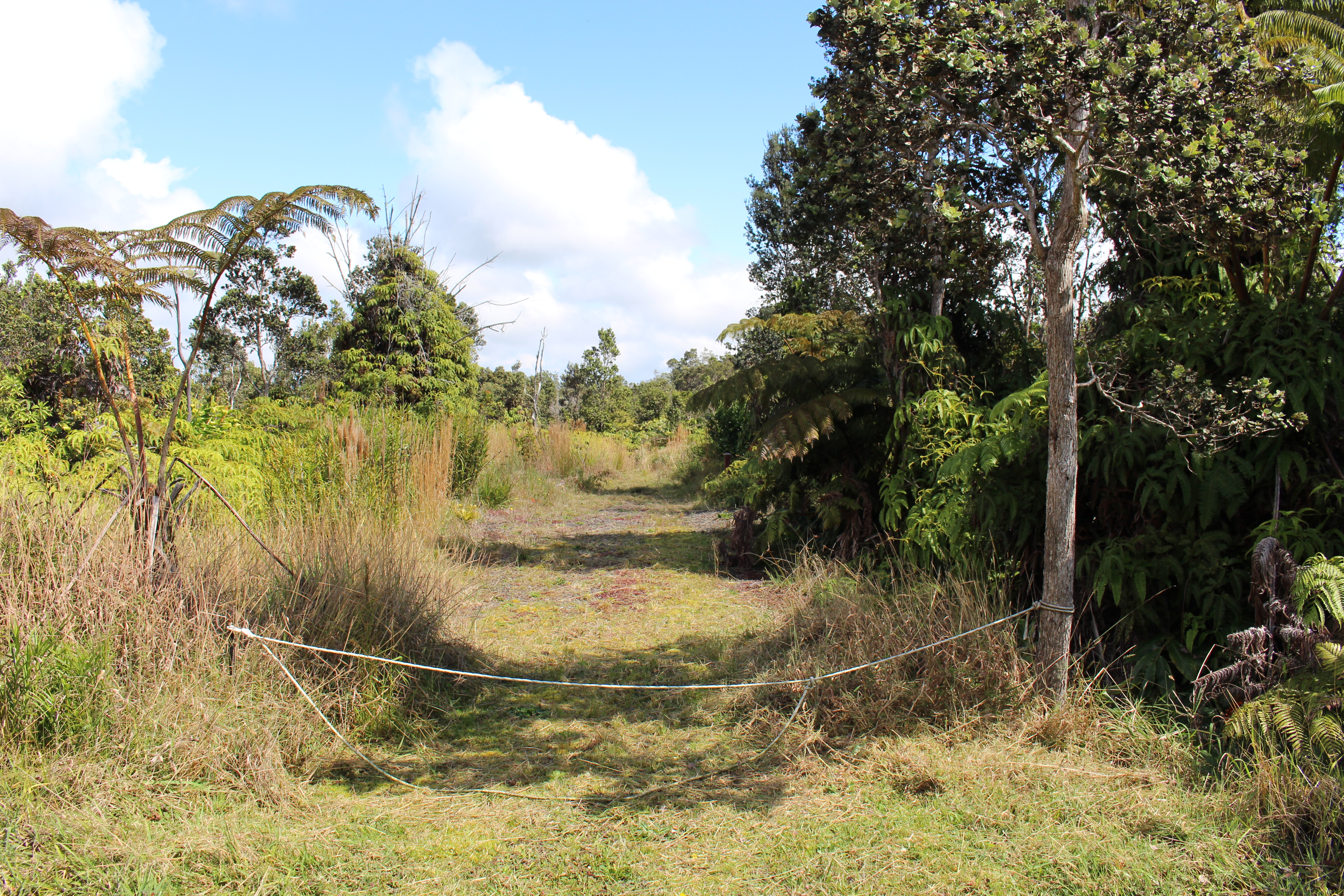Photo 1 of 12 — NAHELENANI ST, Volcano, HI 96785