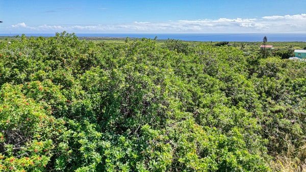 PELE ST, NAALEHU, HI 96772 - Image f1e470e22e94061e8747c7de78818f4e/3901599185