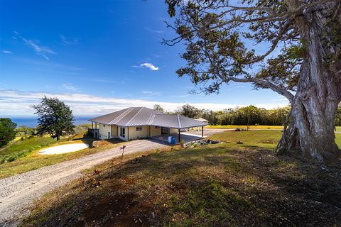 Photo of 44-2221 Paauilo Mauka Rd, Paauilo, HI 96776 (MLS # 724209)