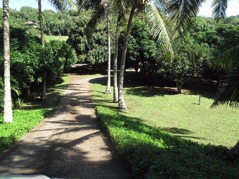Photo of 6820-B Koolau Rd, Kilauea, HI 96754 (MLS # 723929)