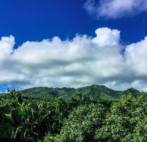 Tiny photo for 6820-B Koolau Rd, Kilauea, HI 96754 (MLS # 723929)