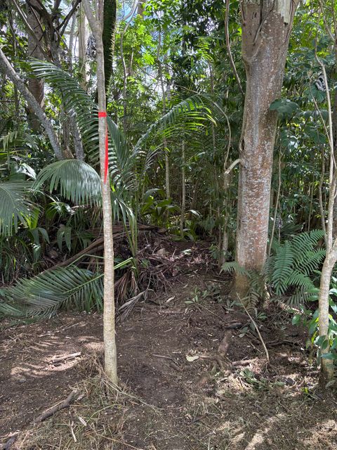 Tiny photo for Kilauea, HI 96722 (MLS # 724905)