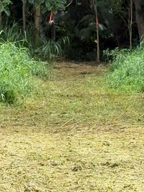 Tiny photo for Kilauea, HI 96722 (MLS # 724905)