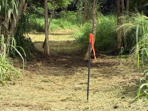 Tiny photo for Kilauea, HI 96722 (MLS # 724905)