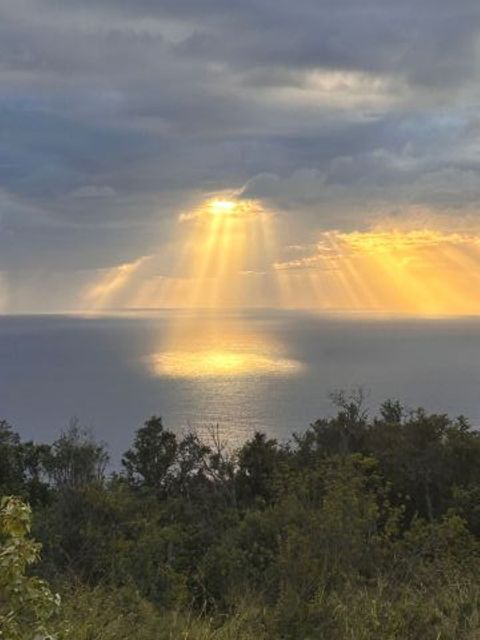 Photo of 89-902 Rd Rd, Captain Cook, HI 96704 (MLS # 721058)