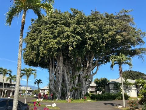Tiny photo for 4121 Rice St #402, Lihue, HI 96766 (MLS # 727279)