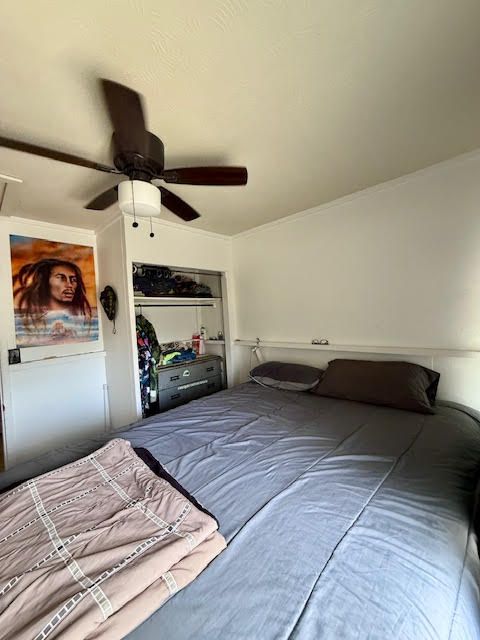 Tiny photo for 4744 Menehune Rd, Waimea, HI 96796 (MLS # 725035)