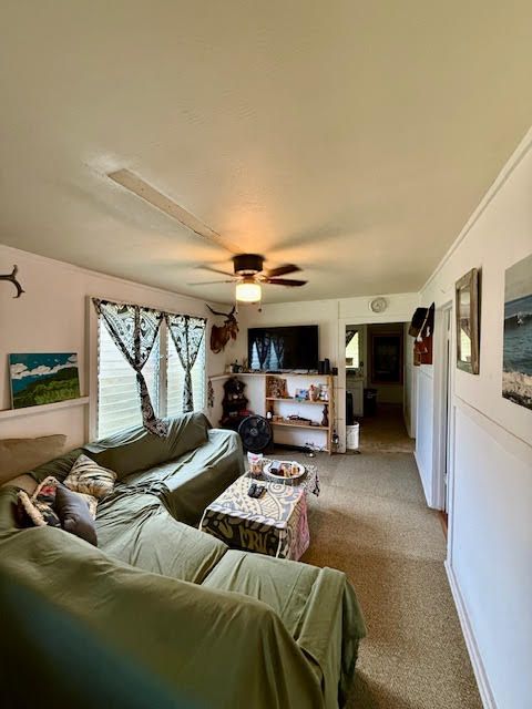 Tiny photo for 4744 Menehune Rd, Waimea, HI 96796 (MLS # 725035)