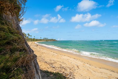 Tiny photo for 4-1250 Kuhio Hwy #D101, Kapaa, HI 96746 (MLS # 723687)